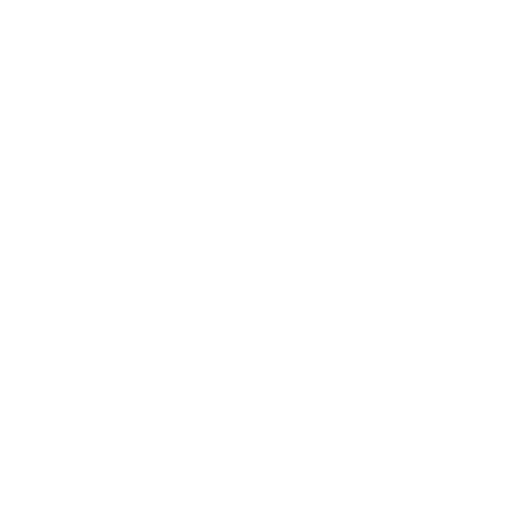 Solidarity Icon