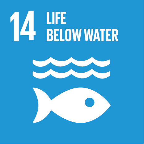 SDG