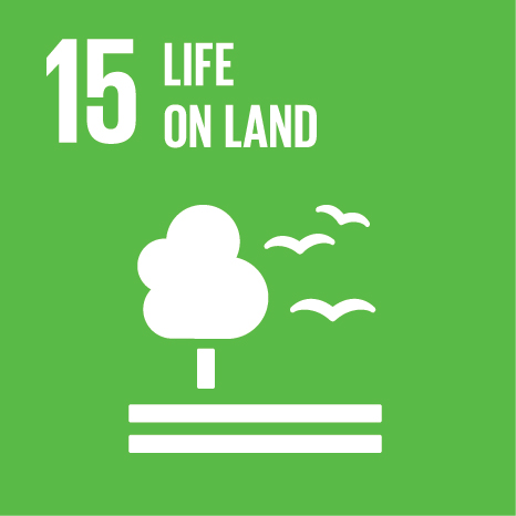 SDG