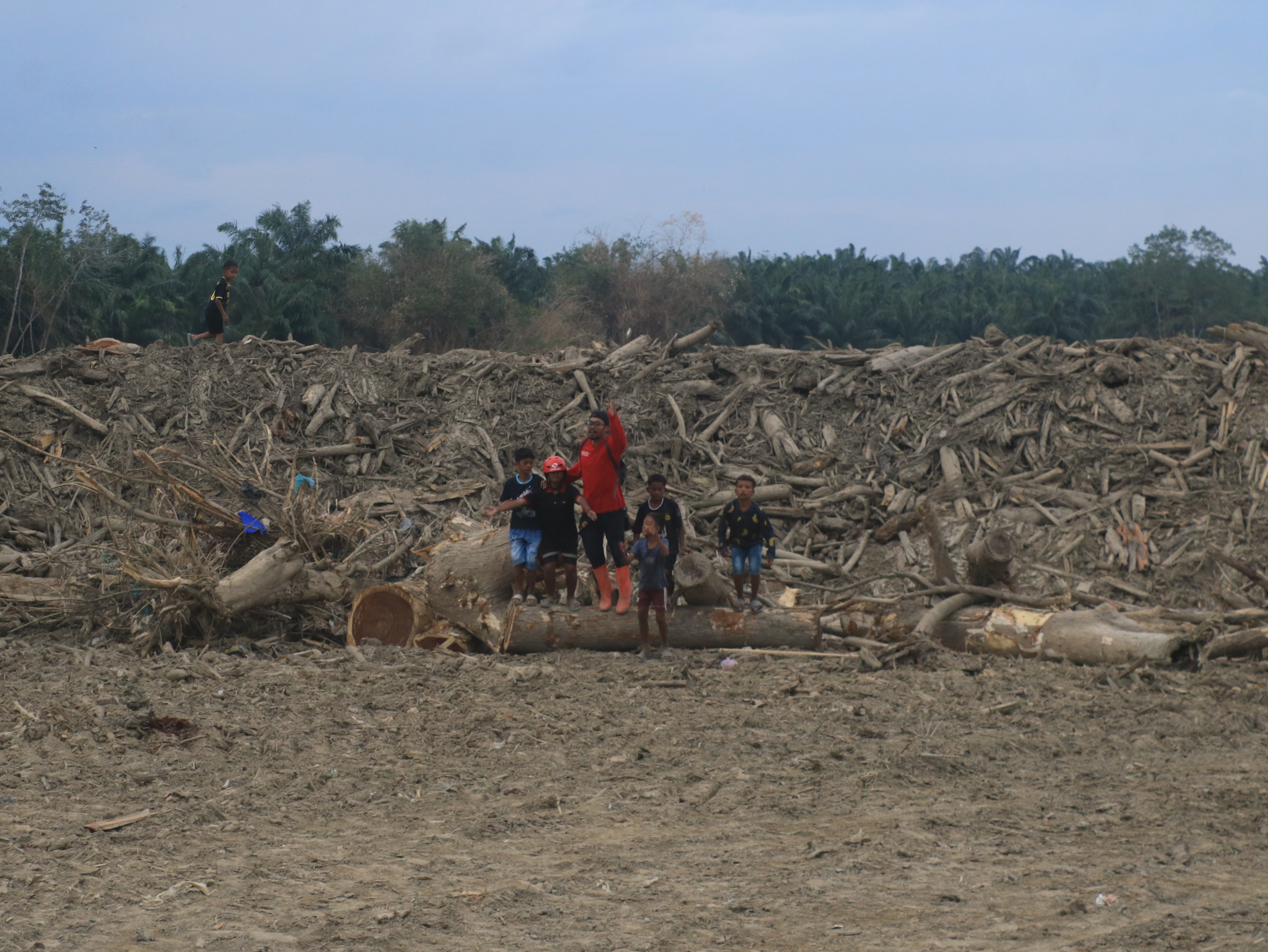 Tumpukan Kayu dan Material Banjir Jadi Saksi Dahsyatnya Banjir di Aceh