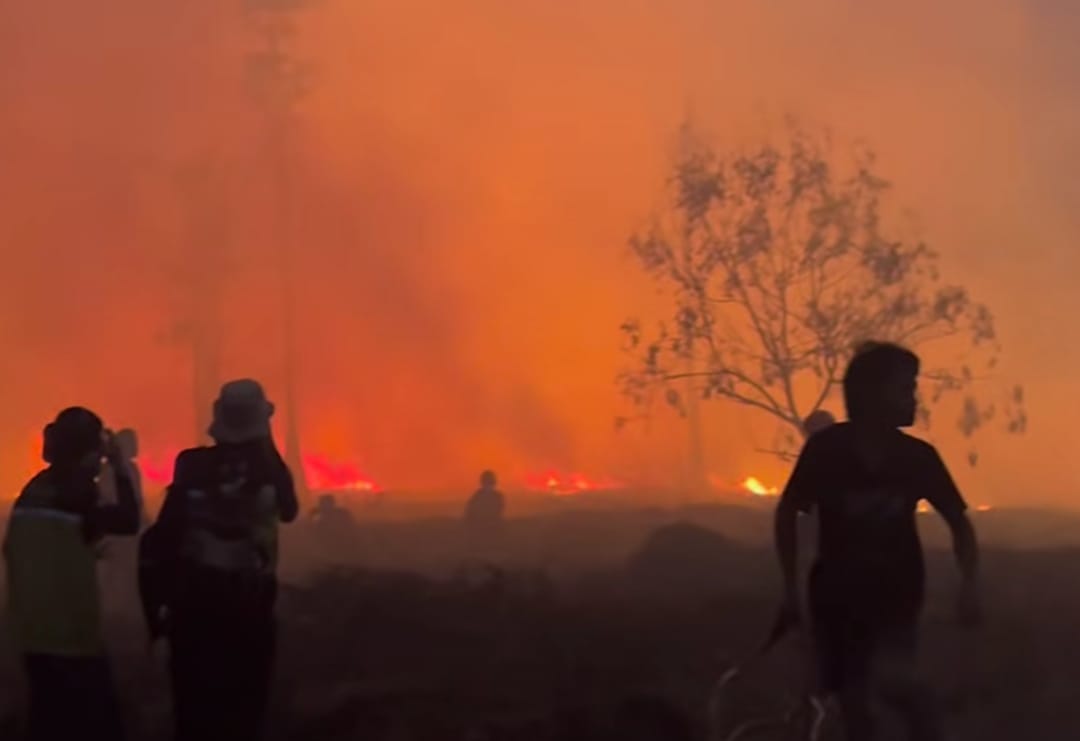 Kalimantan Darurat Asap: Langit Memerah dan Fasilitas Pendidikan Ditutup Akibat Karhutla 2026