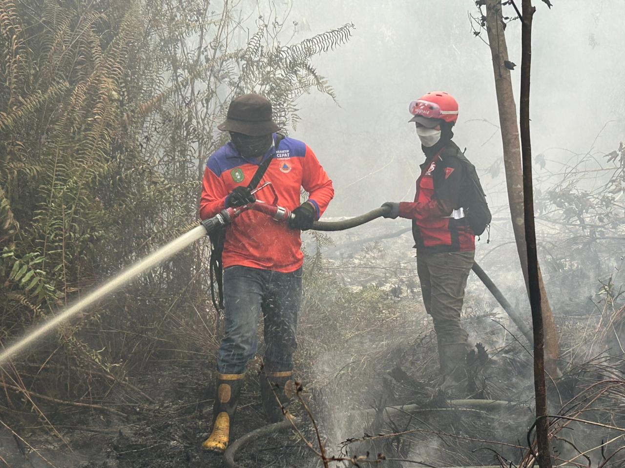 Masih Berjibaku Padamkan Api, Srikandi dan BPBD Kalbar Sisir Lahan Terbakar di Kubu Raya