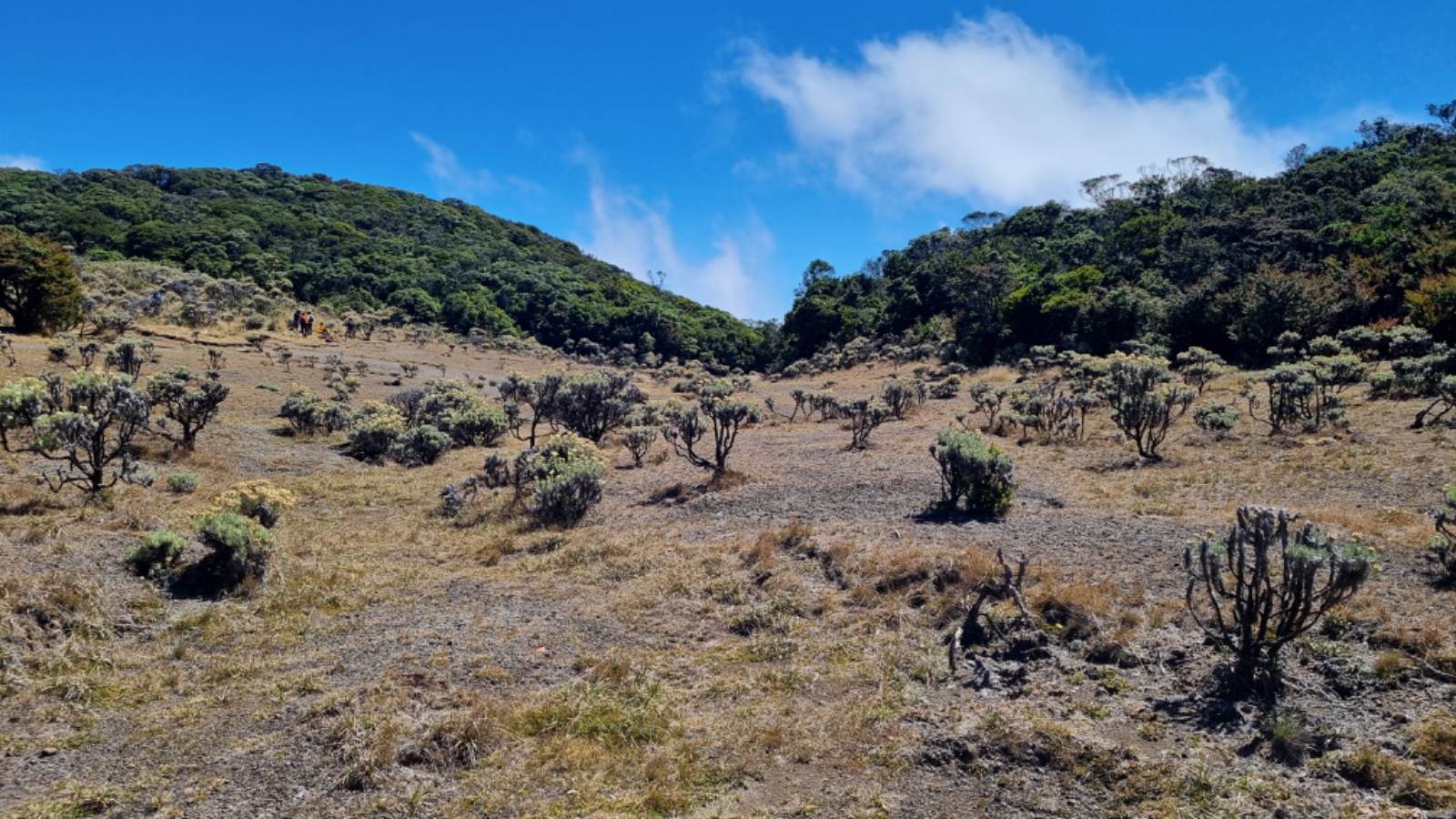 Gunung Pangrango